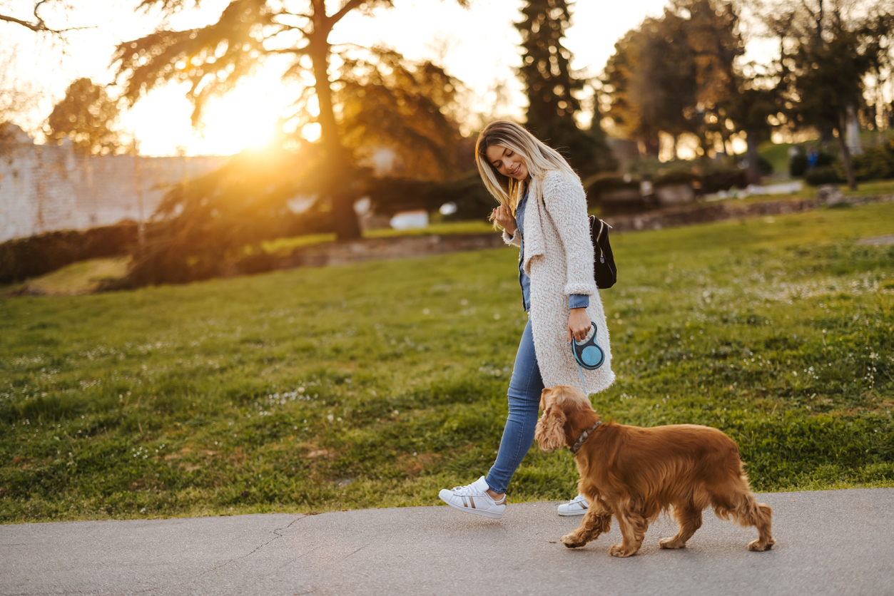 A member walking her dog on a South County evening